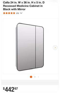 Calla 24 in. W x 36 in. H x 5 in. D Recessed Medicine Cabinet in Black